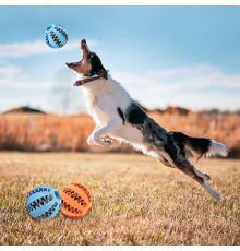 Mama Hazneli Köpek Eğitim Ve Oyun Topu