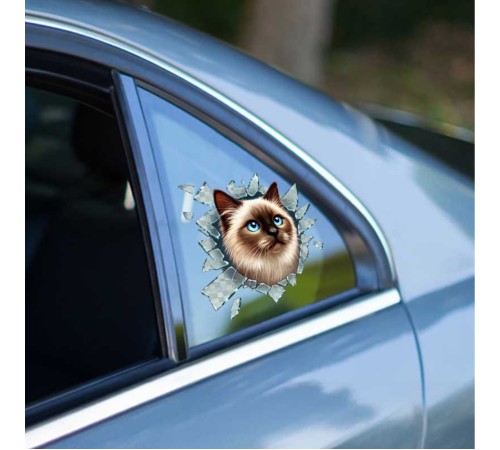 Fulcar Siamesse Araç Stickerı Fulcar Siamesse Araç Stickerı