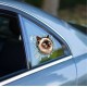 Fulcar Siamesse Araç Stickerı