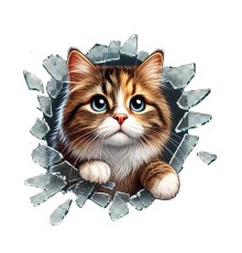 Fulcar Stray Araç Stickerı