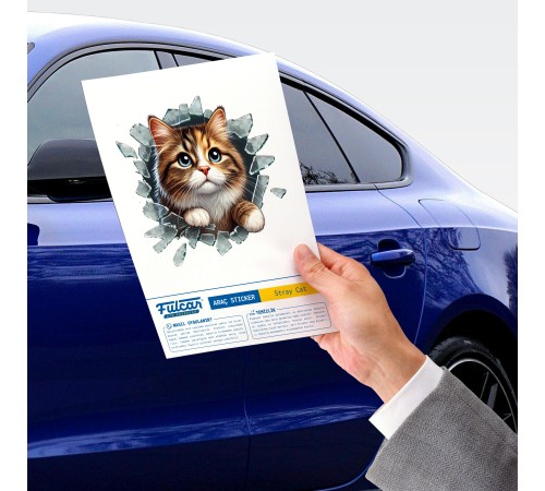 Fulcar Stray Araç Stickerı Fulcar Stray Araç Stickerı