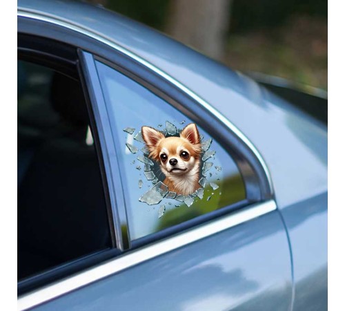 Fulcar Chiuahua Araç Stickerı Fulcar Chiuahua Araç Stickerı
