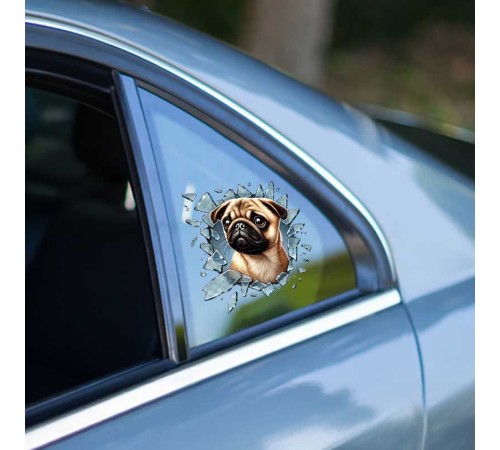 Fulcar French Bulldog Araç Stickerı Fulcar French Bulldog Araç Stickerı