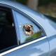 Fulcar French Bulldog Araç Stickerı