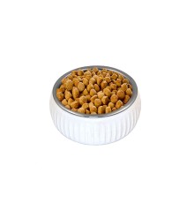 Mikopet Organik Seramik Mama Kabı Beyaz