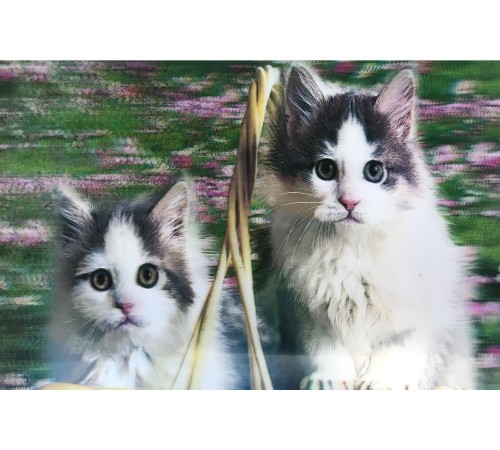 5D Elmas Boyama Kedi Tablosu 5D Elmas Boyama Kedi Tablosu