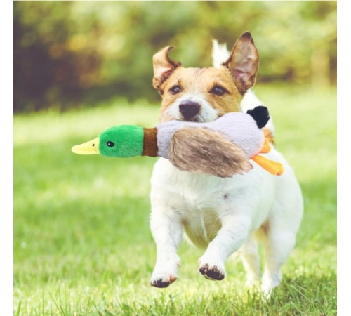 Sesli Ördek Şekilli Peluş Köpek Oyuncağı Sesli Ördek Şekilli Peluş Köpek Oyuncağı