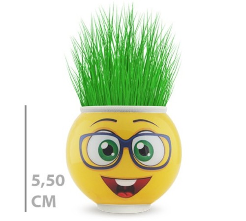 Çim Adam Saksı Emoji Figürlü 1 Adet Çim Adam Saksı Emoji Figürlü 1 Adet