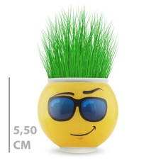 Çim Adam Saksı Emoji Figürlü 1 Adet