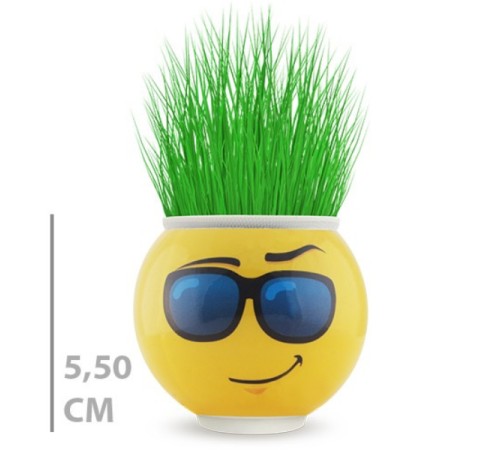 Çim Adam Saksı Emoji Figürlü 1 Adet Çim Adam Saksı Emoji Figürlü 1 Adet