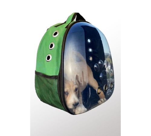 Deri Astronot Kedi Ve Köpek Taşıma Çantası Yeşil Renk