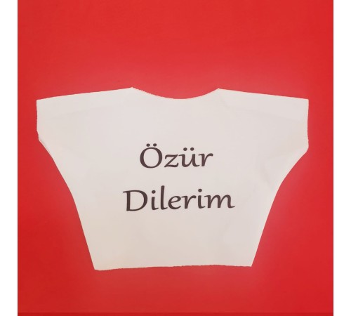 Özür Dilerim Yazılı Peluş Oyuncak Ayı Tişörtü Özür Dilerim Yazılı Peluş Oyuncak Ayı Tişörtü