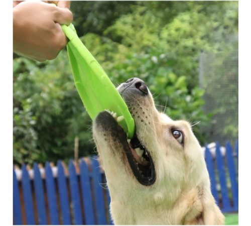 Silikon Frizbi Köpek Oyuncağı Silikon Frizbi Köpek Oyuncağı