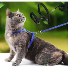 Kedi Tasması