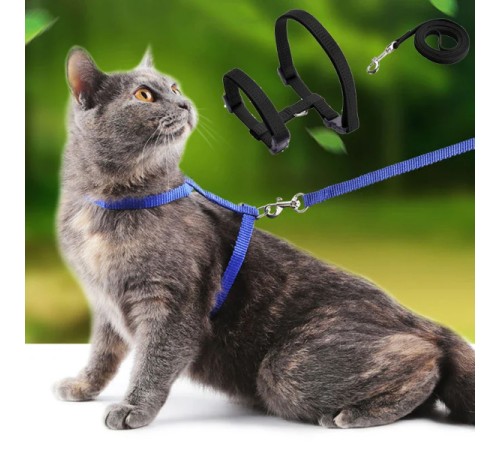Kedi Tasması Kedi Tasması