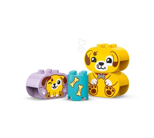10441 Lego Duplo Bul-Tak Köpek Evi 17 parça +1,2 yaş