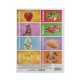 1161 Flash Cards İlk 50 Sözcük -DıyToy