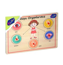 166/167 Onyıl, Ahşap Tutmalı Organlar