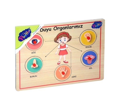 166/167 Onyıl, Ahşap Tutmalı Organlar 166/167 Onyıl, Ahşap Tutmalı Organlar