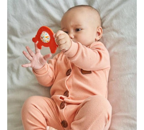 30862 Let's be Child - Sevimli Kaplumbağa Diş Kaşıyıcı Çıngırak 30862 Let's be Child - Sevimli Kaplumbağa Diş Kaşıyıcı Çıngırak