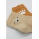Bistyle Bear Penye Soket Çorap 2'Li BS10116 Bej