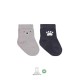 Bistyle Bear Penye Soket Çorap 2'Li BS10116 Gri
