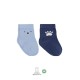 Bistyle Bear Penye Soket Çorap 2'Li BS10116 Mavi