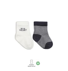 Bistyle Big Heart Penye Soket Çorap 2'Li BS10117 Antrasit