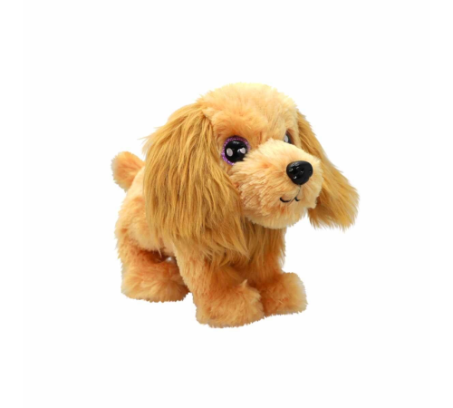 Cutekins Taşıma Çantalı Peluş Köpek Cutekins Taşıma Çantalı Peluş Köpek