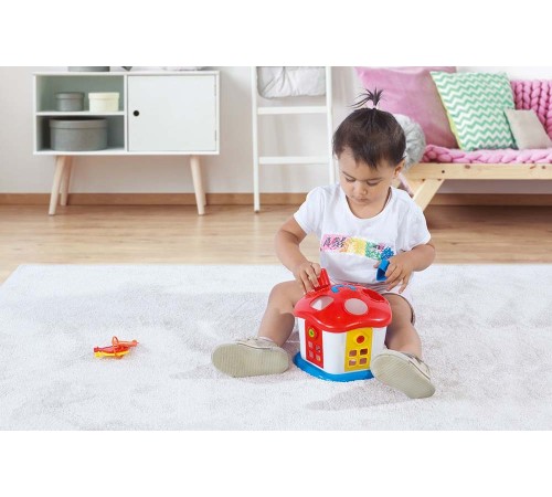 Dolu Sevimli Bultak Ev Kilitli Kapı Dolu Sevimli Bultak Ev Kilitli Kapı