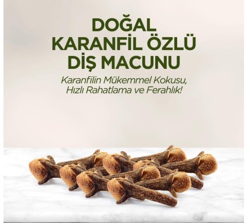 Eyüp Sabri Tuncer Doğal Diş Macunu 90 Gr Karanfil Eyüp Sabri Tuncer Doğal Diş Macunu 90 Gr Karanfil