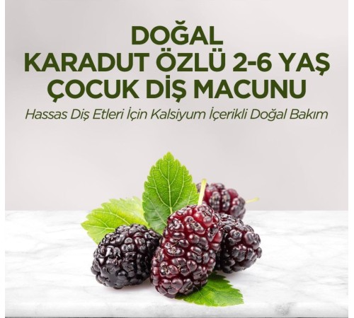 Eyüp Sabri Tuncer Doğal Karadut Özlü Diş Macunu 2-6 Yaş 60ml Eyüp Sabri Tuncer Doğal Karadut Özlü Diş Macunu 2-6 Yaş 60ml