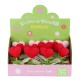 FL-7 12Lİ Kroşe Örgü Saksıda Kalp -Birliktoys