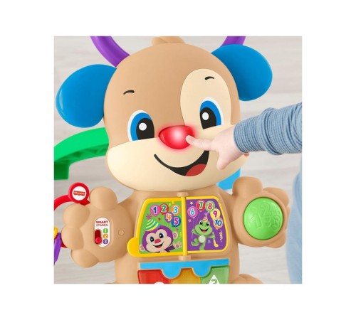 FTG10 Fisher-Price® Eğitici Köpekçik Yürüteç /Türkçe FTG10 Fisher-Price® Eğitici Köpekçik Yürüteç /Türkçe