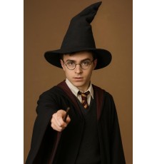 Harry Potter Seçmen Şapkası Siyah Renk