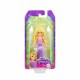HLW69 Disney Prenses Mini Bebekler