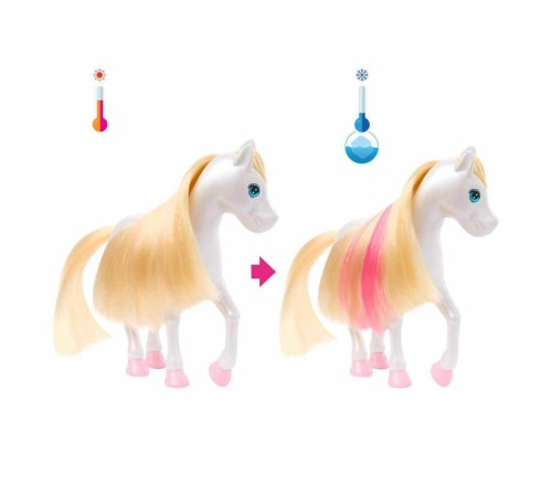 HNT67 Barbie A Touch Of Magic Chelsea ve Pegasus Oyun Seti HNT67 Barbie A Touch Of Magic Chelsea ve Pegasus Oyun Seti