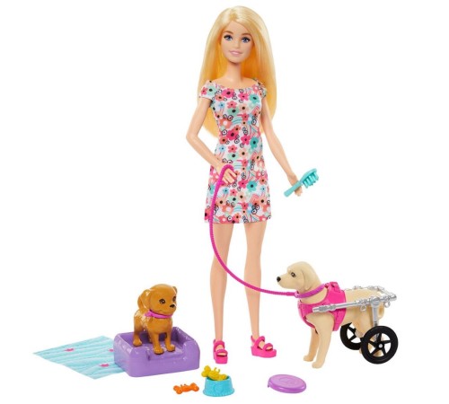 HTK37 Barbie ve Engelli Köpeği Oyun Seti HTK37 Barbie ve Engelli Köpeği Oyun Seti