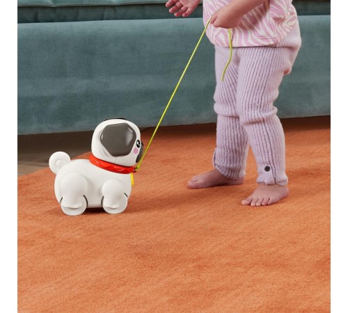 HTW94 Fisher-Price Minik Dostumla Yürüyüş HTW94 Fisher-Price Minik Dostumla Yürüyüş