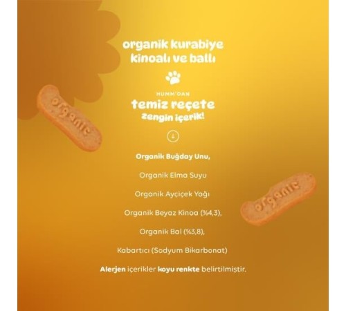 Humm Organik Ballı ve Kinoalı Kurabiye 55 Gr Humm Organik Ballı ve Kinoalı Kurabiye 55 Gr
