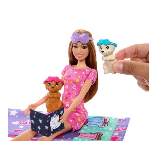 HXN01 Barbie ve Köpekçikleri Pijama Partisi HXN01 Barbie ve Köpekçikleri Pijama Partisi