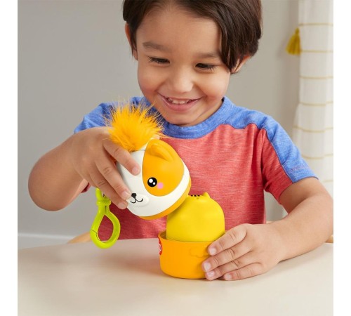 HXP17 Fisher-Price Taşınabilir Sevimli Dostlar HXP17 Fisher-Price Taşınabilir Sevimli Dostlar