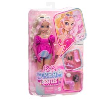 HYC21 Barbie Dream Besties Ana Karakter Bebekler Malibu