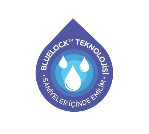 Blue Lock Göğüs Pedi 60 Adet Blue Lock Göğüs Pedi 60 Adet