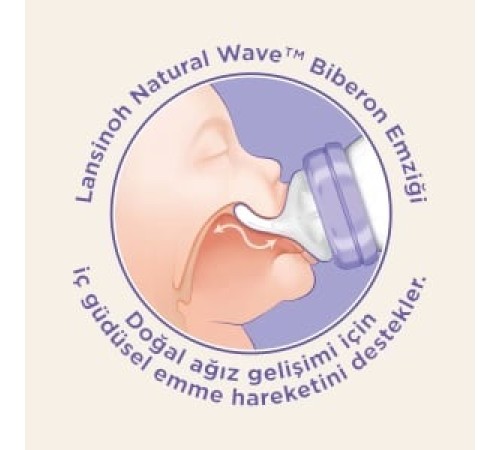 Lansinoh PP Biberon Seti 2x160 ml Lansinoh PP Biberon Seti 2x160 ml