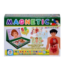 LC7171 Laço, Laço, Manyetik Aktiviteler - İnsan Anatomisi / +3 yaş