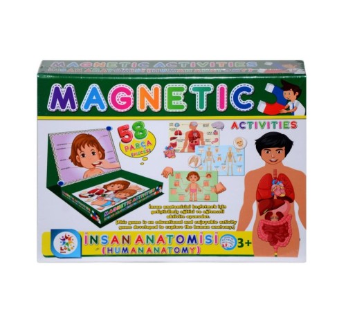 LC7171 Laço, Laço, Manyetik Aktiviteler - İnsan Anatomisi / +3 yaş LC7171 Laço, Laço, Manyetik Aktiviteler - İnsan Anatomisi / +3 yaş