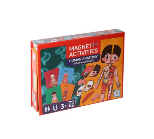 LC986ManyetikAktiviteİnsanAnatomisi-Laço LC986ManyetikAktiviteİnsanAnatomisi-Laço
