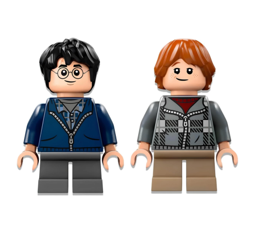 LEGO Harry Potter Aragog Yasak Ormanda 76434 LEGO Harry Potter Aragog Yasak Ormanda 76434