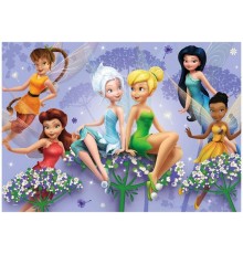 100 Parça Fairies Puzzle